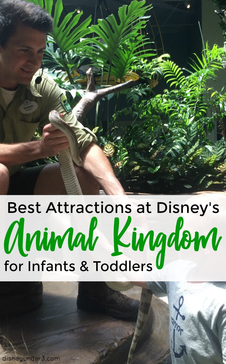 Best Attractions at Disney's Animal Kingdom for Infants and Toddlers - by disneyunder3.com