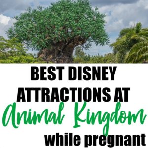 Pregnant in the Parks Archives - Disney Under 3